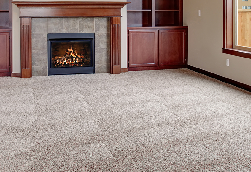 Clean home interior with freshly cleaned carpet